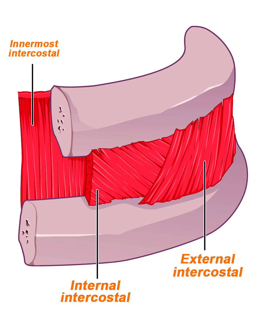 external-internal